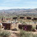 IMG 4502