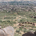 IMG 4509