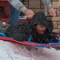 IMG 4917