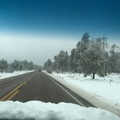 Iphone IMG 9263