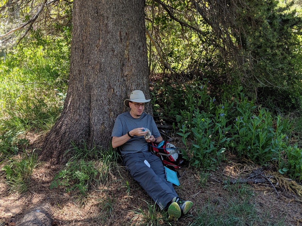 IMG 20190702 115128