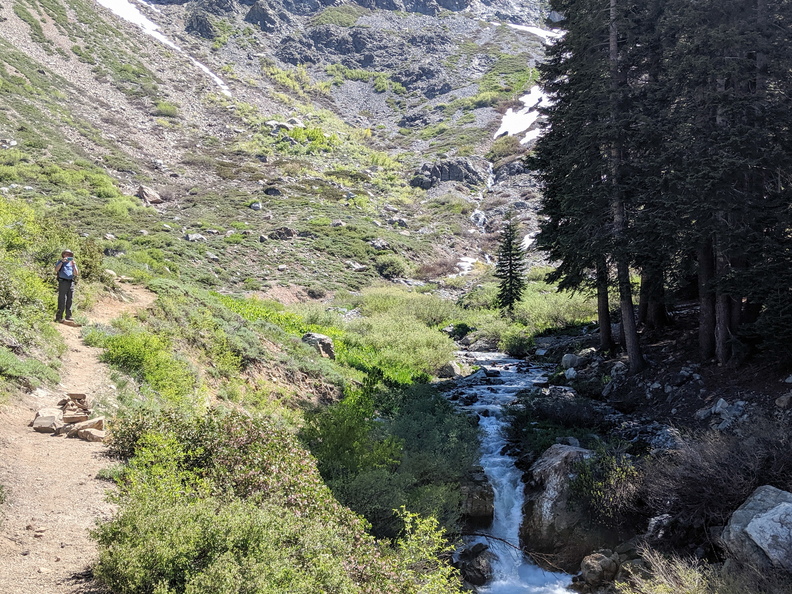 IMG 20190704 103323