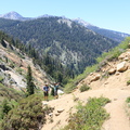 IMG 8677