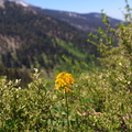 IMG 8679
