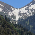 IMG 8741
