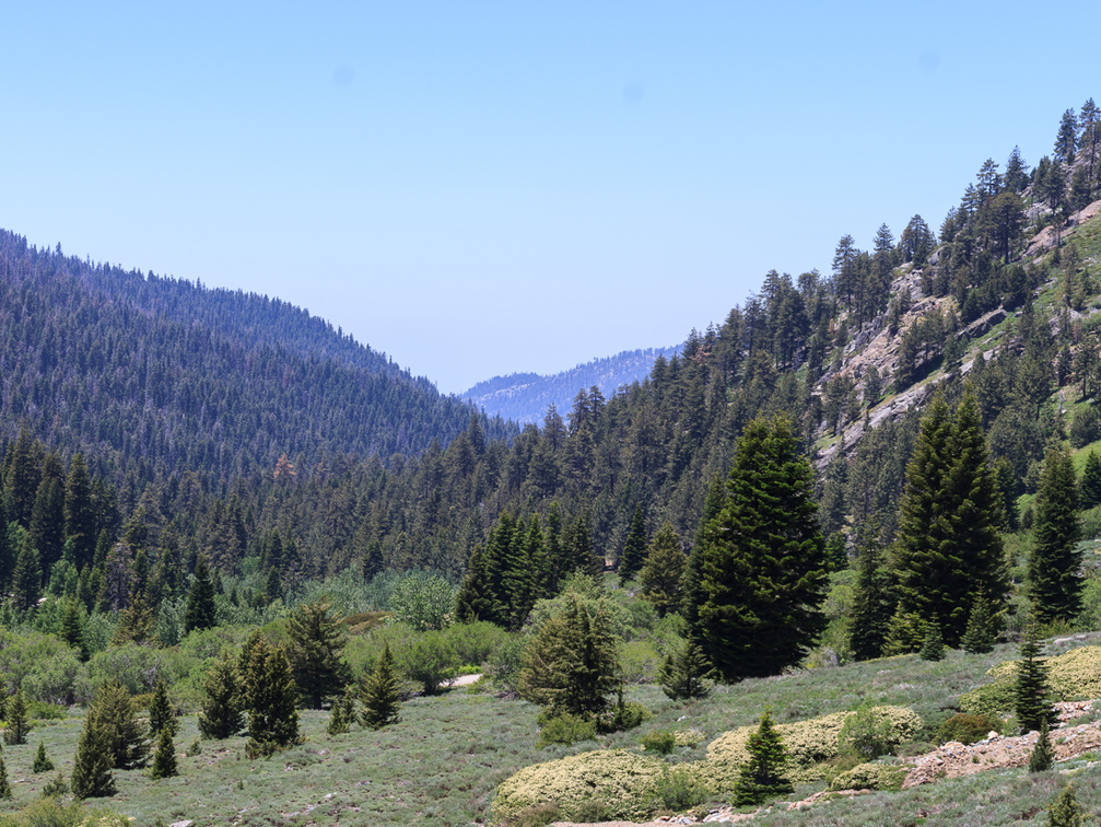IMG 8833-Pano