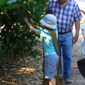 IMG 8876