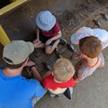 IMG 20190706 120813