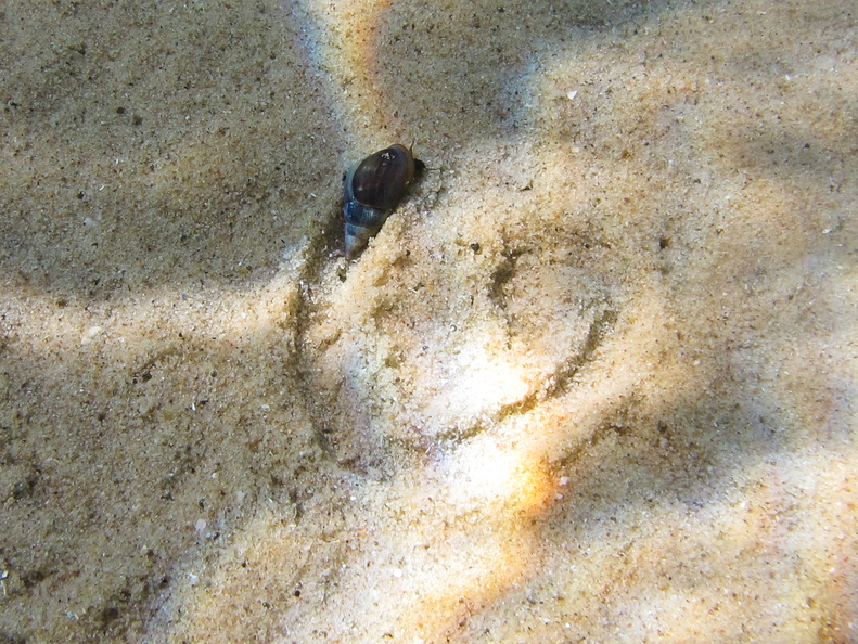 G12 IMG 6972 