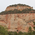 IMG 9365 