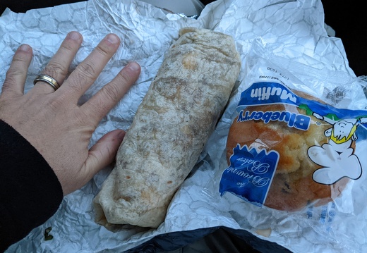 PXL 20211102 141226653 