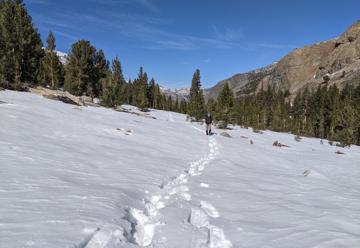 PXL 20211105 190523571 