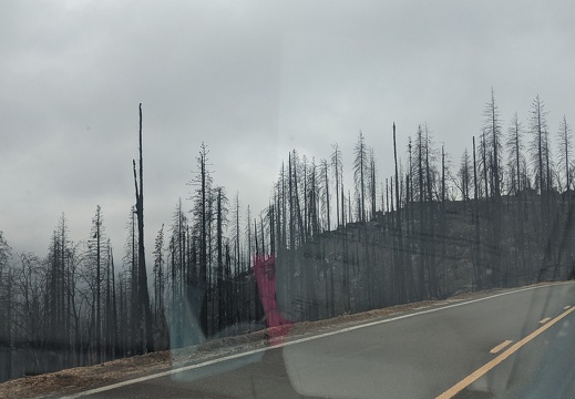 PXL 20211107 224707321 