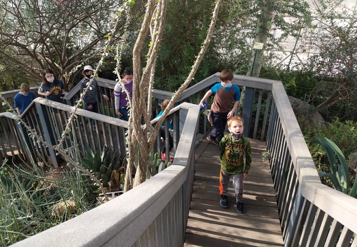 PXL 20211223 201824004 