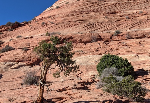 PXL 20211127 170917104 