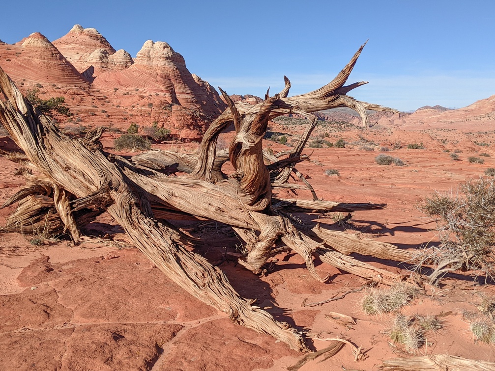 PXL 20211127 212715723 