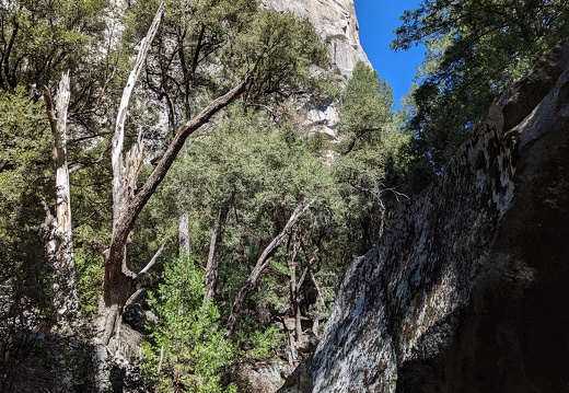 PXL 20221003 205237215