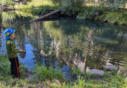 PXL 20221003 231028572