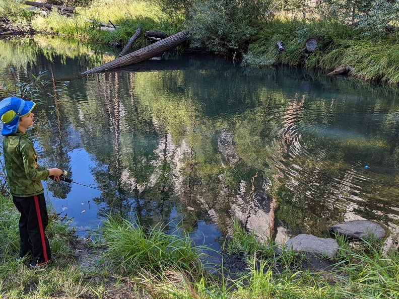 PXL 20221003 231028572