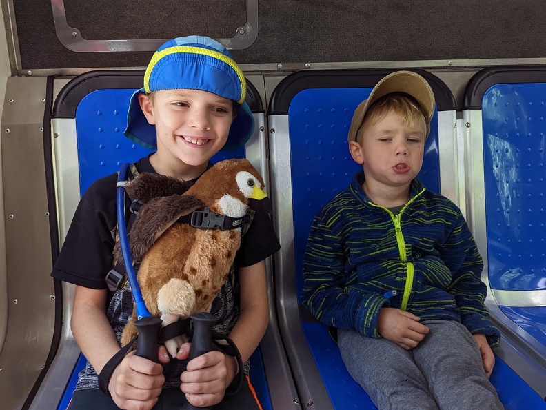 PXL 20221004 173405530