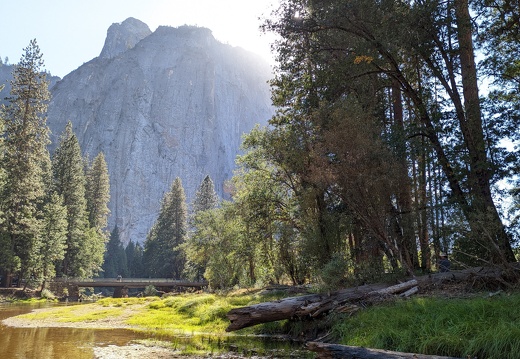 PXL 20221004 221036530