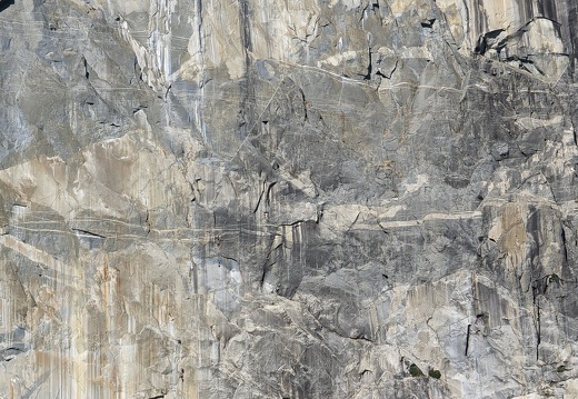 PXL 20221004 221339057