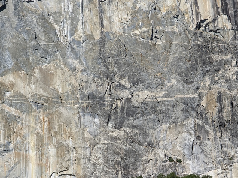 PXL 20221004 221339057