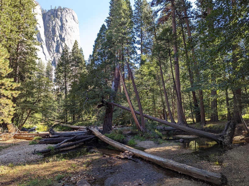 PXL 20221005 171345140