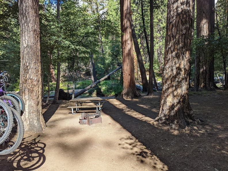 PXL 20221005 174357706