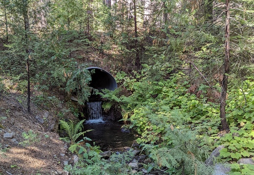 PXL 20221005 195922933