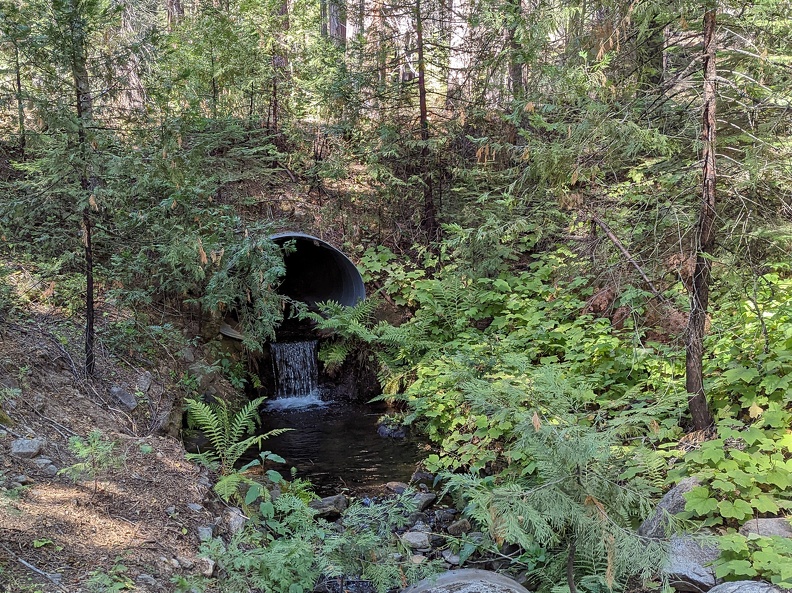 PXL 20221005 195922933