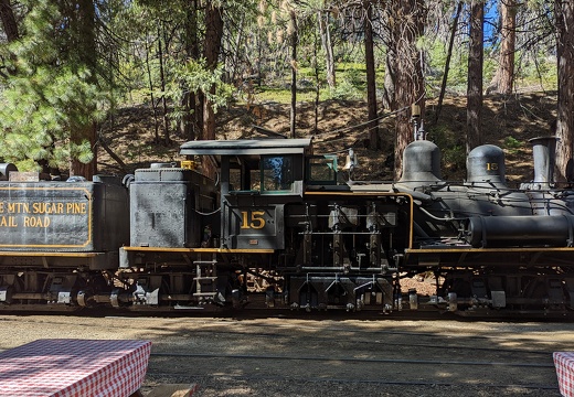 PXL 20221005 201007701