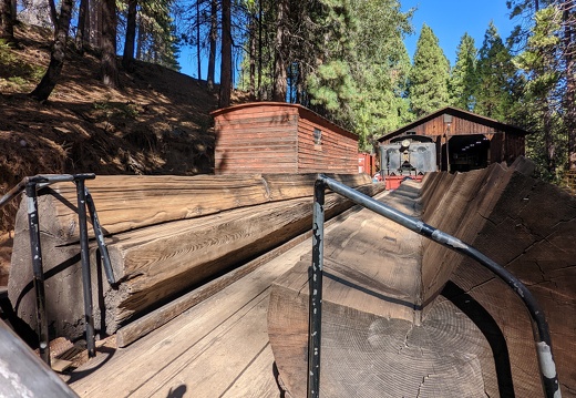 PXL 20221005 201147284