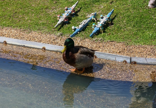 PXL 20230317 211019513