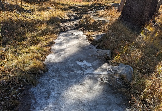 PXL 20231103 193051173 