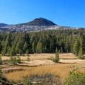 IMG 1553 