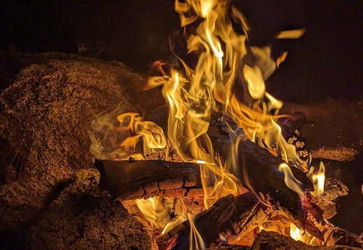 PXL 20231104 015321829 