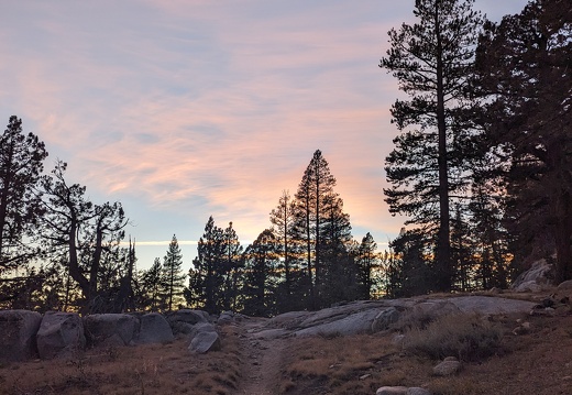 PXL 20231105 010640525 