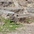 IMG 2616-2