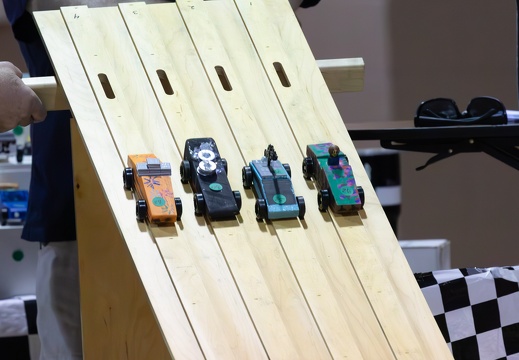 IMG 7420-Enhanced-NR