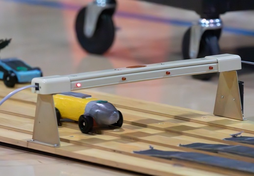 IMG 7431-Enhanced-NR