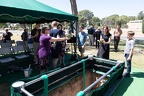 IMG 7911