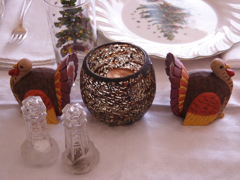 Thanksgiving2009 009