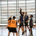 IMG 1461